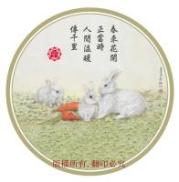 景邁古樹普洱茶春尖生餅~2012年普旺